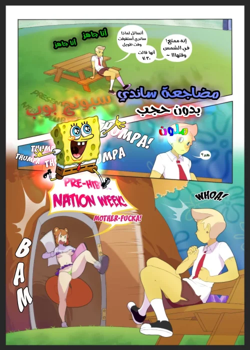 64faa3d02e0b8.webp