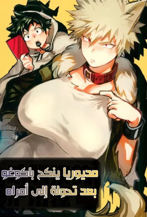 64fab4a1bf13d.webp