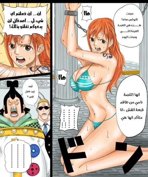 64fb237732bca.webp